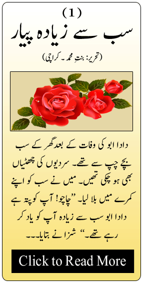 Sab sy zeda piyar
