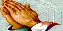 بالکل فکر نہ کرنا